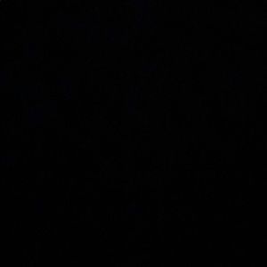 Meet your Posher, Remi